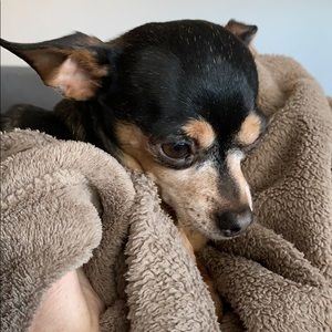 Meet your Posher, Kim